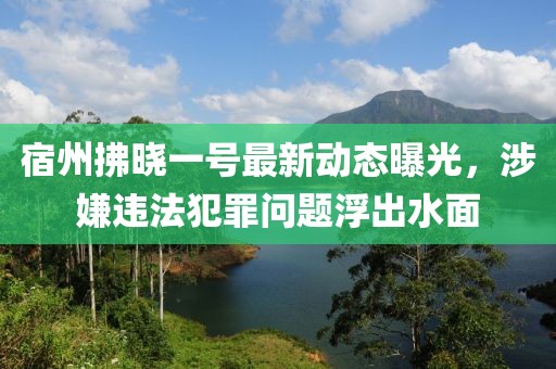 宿州拂晓一号最新动态曝光，涉嫌违法犯罪问题浮出水面