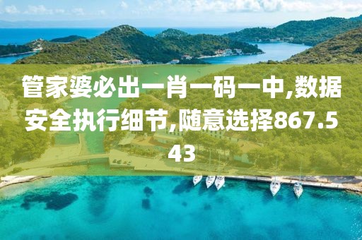 管家婆必出一肖一码一中,数据安全执行细节,随意选择867.543