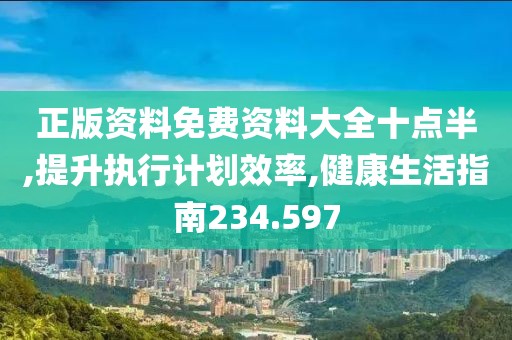正版资料免费资料大全十点半,提升执行计划效率,健康生活指南234.597