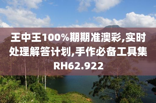 王中王100%期期准澳彩,实时处理解答计划,手作必备工具集RH62.922