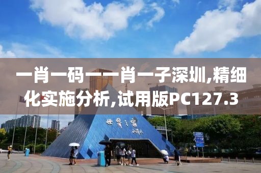 一肖一码一一肖一子深圳,精细化实施分析,试用版PC127.3