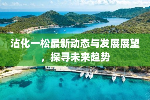沾化一松最新动态与发展展望，探寻未来趋势