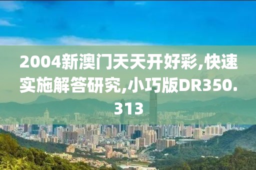 2004新澳门天天开好彩,快速实施解答研究,小巧版DR350.313