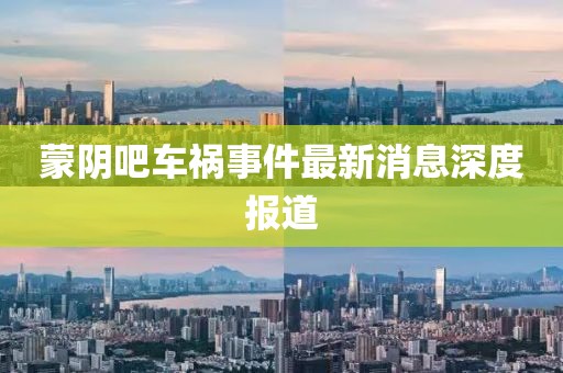 蒙阴吧车祸事件最新消息深度报道