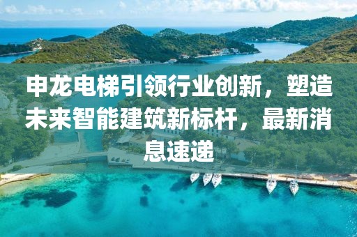 申龙电梯引领行业创新，塑造未来智能建筑新标杆，最新消息速递