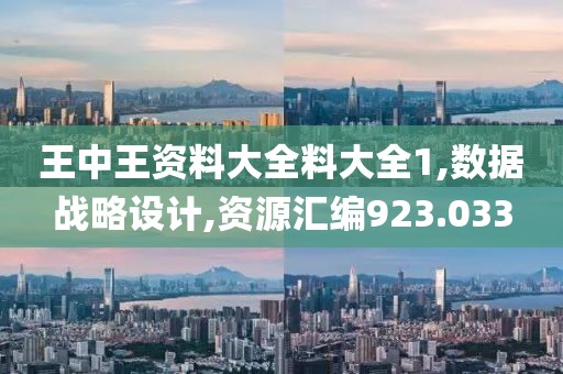 王中王资料大全料大全1,数据战略设计,资源汇编923.033