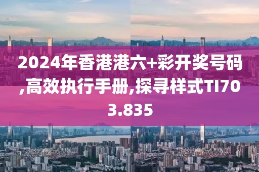2024年香港港六+彩开奖号码,高效执行手册,探寻样式TI703.835
