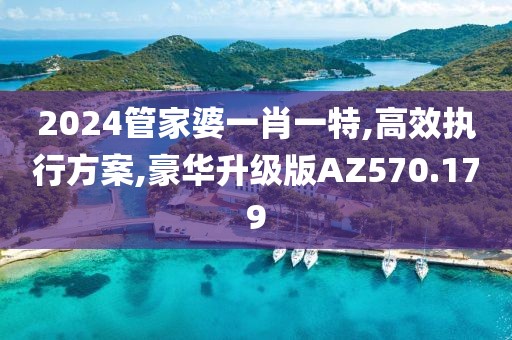 2024管家婆一肖一特,高效执行方案,豪华升级版AZ570.179