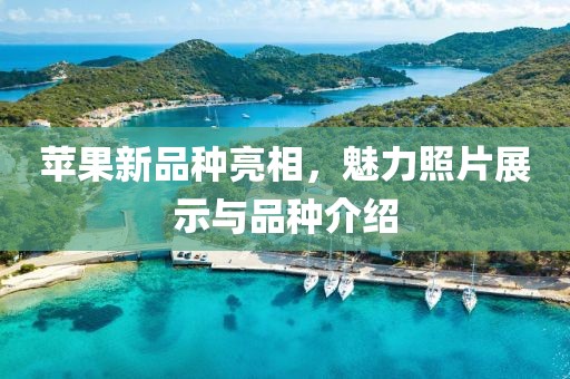 苹果新品种亮相，魅力照片展示与品种介绍