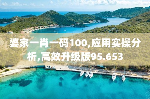 婆家一肖一码100,应用实操分析,高效升级版95.653