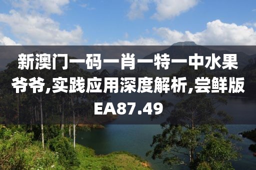 新澳门一码一肖一特一中水果爷爷,实践应用深度解析,尝鲜版EA87.49