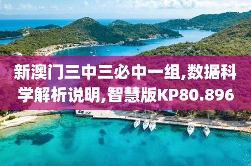阿瓜 第20页