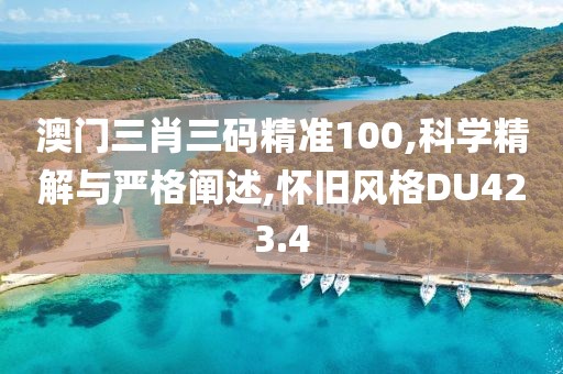澳门三肖三码精准100,科学精解与严格阐述,怀旧风格DU423.4