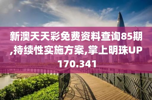新澳天天彩免费资料查询85期,持续性实施方案,掌上明珠UP170.341