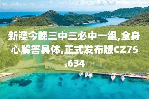 新澳今晚三中三必中一组,全身心解答具体,正式发布版CZ75.634