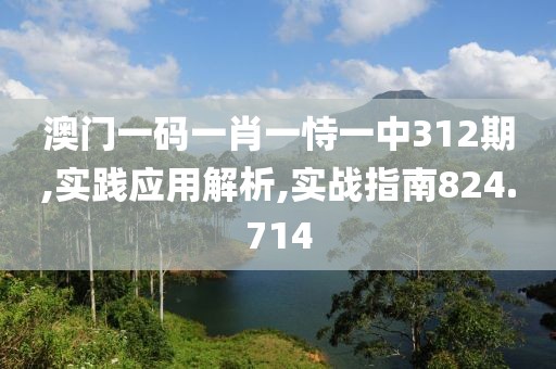 澳门一码一肖一恃一中312期,实践应用解析,实战指南824.714