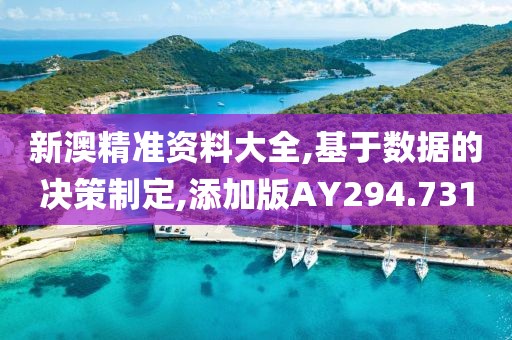 新澳精准资料大全,基于数据的决策制定,添加版AY294.731