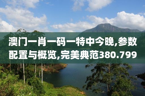 澳门一肖一码一特中今晚,参数配置与概览,完美典范380.799