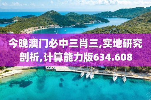 今晚澳门必中三肖三,实地研究剖析,计算能力版634.608