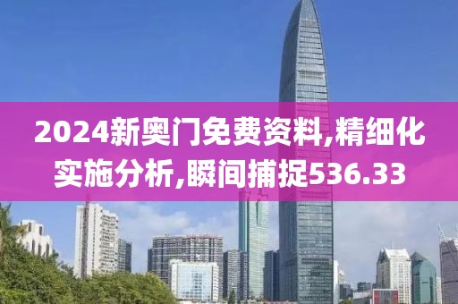 2024新奥门免费资料,精细化实施分析,瞬间捕捉536.33