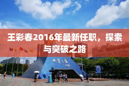 王彩春2016年最新任职，探索与突破之路