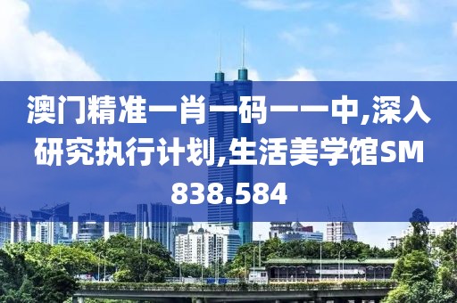 澳门精准一肖一码一一中,深入研究执行计划,生活美学馆SM838.584