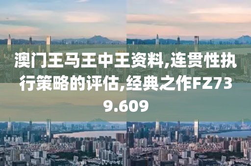 澳门王马王中王资料,连贯性执行策略的评估,经典之作FZ739.609