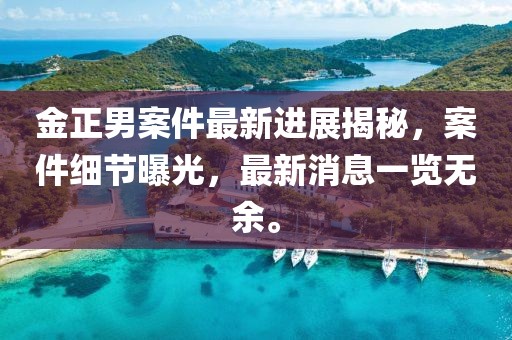 金正男案件最新进展揭秘，案件细节曝光，最新消息一览无余。