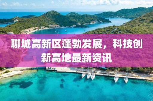 聊城高新区蓬勃发展，科技创新高地最新资讯