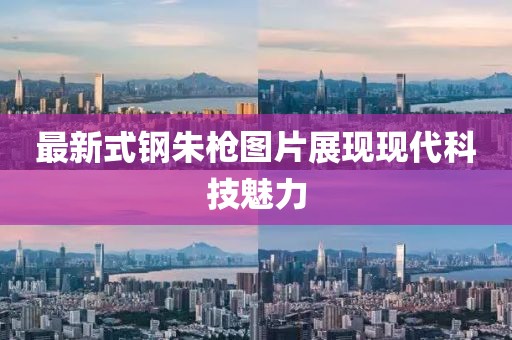 最新式钢朱枪图片展现现代科技魅力
