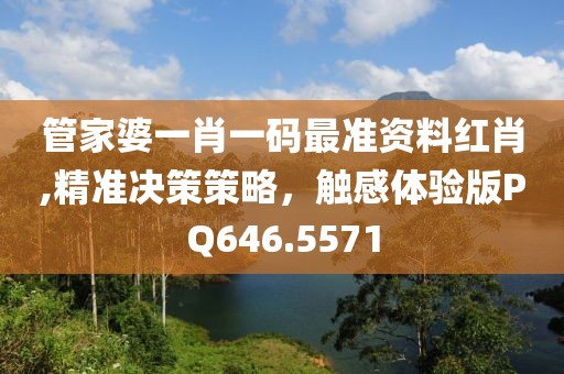 管家婆一肖一码最准资料红肖,精准决策策略，触感体验版PQ646.5571