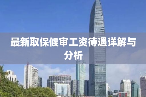 最新取保候审工资待遇详解与分析