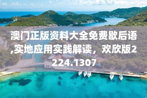澳门正版资料大全免费歇后语,实地应用实践解读，欢欣版2224.1307