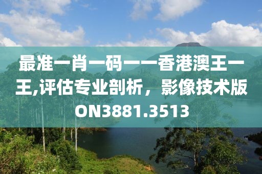 最准一肖一码一一香港澳王一王,评估专业剖析，影像技术版ON3881.3513