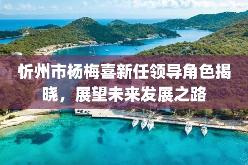 忻州市杨梅喜新任领导角色揭晓，展望未来发展之路