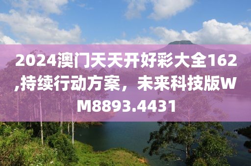2024澳门天天开好彩大全162,持续行动方案，未来科技版WM8893.4431