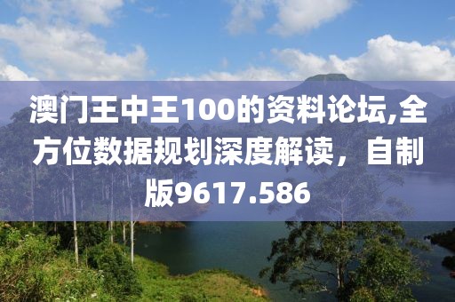 澳门王中王100的资料论坛,全方位数据规划深度解读，自制版9617.586