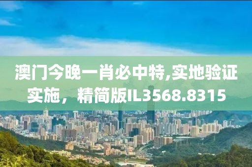 澳门今晚一肖必中特,实地验证实施，精简版IL3568.8315