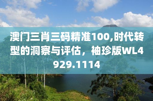 澳门三肖三码精准100,时代转型的洞察与评估，袖珍版WL4929.1114