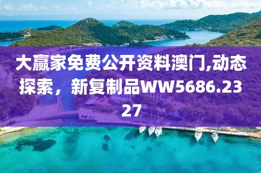大赢家免费公开资料澳门,动态探索，新复制品WW5686.2327