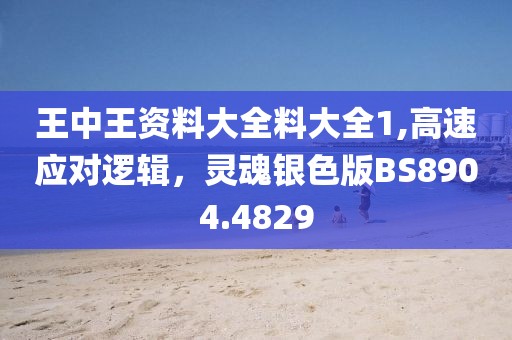 王中王资料大全料大全1,高速应对逻辑，灵魂银色版BS8904.4829