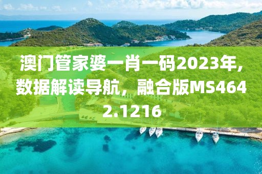 澳门管家婆一肖一码2023年,数据解读导航，融合版MS4642.1216