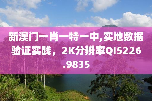 新澳门一肖一特一中,实地数据验证实践，2K分辨率QI5226.9835
