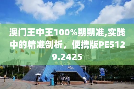 澳门王中王100%期期准,实践中的精准剖析，便携版PE5129.2425