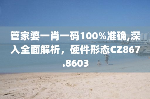 管家婆一肖一码100%准确,深入全面解析，硬件形态CZ867.8603
