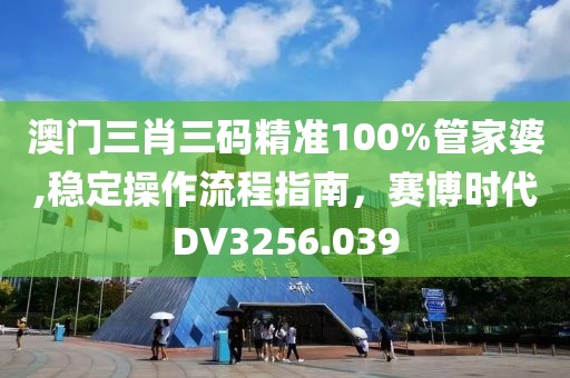 澳门三肖三码精准100%管家婆,稳定操作流程指南，赛博时代DV3256.039