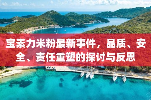 宝素力米粉最新事件，品质、安全、责任重塑的探讨与反思