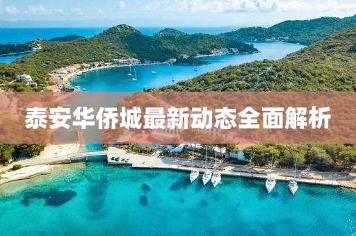 泰安华侨城最新动态全面解析