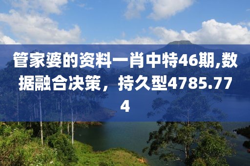 管家婆的资料一肖中特46期,数据融合决策，持久型4785.774