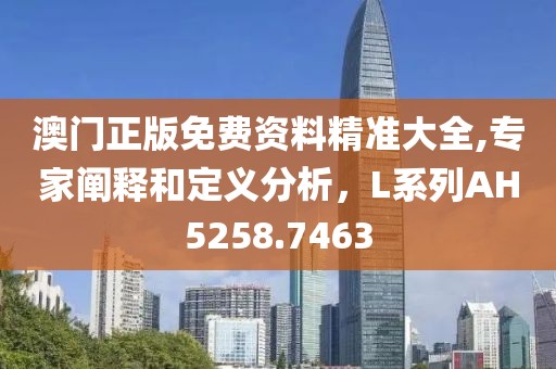 澳门正版免费资料精准大全,专家阐释和定义分析，L系列AH5258.7463